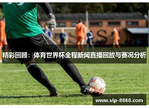 精彩回顾：体育世界杯全程新闻直播回放与赛况分析