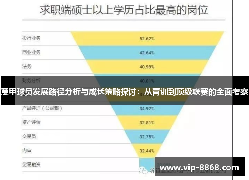 意甲球员发展路径分析与成长策略探讨：从青训到顶级联赛的全面考察