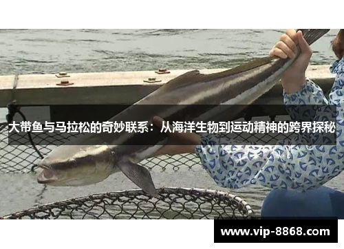 大带鱼与马拉松的奇妙联系:从海洋生物到运动精神的跨界探秘 大带鱼与马拉松的奇妙联系:从海洋生物到运动精神的跨界探秘