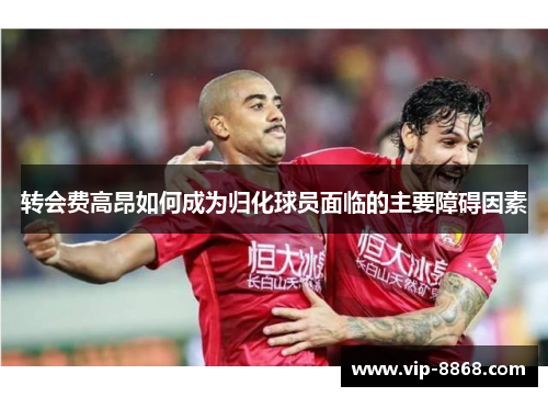转会费高昂如何成为归化球员面临的主要障碍因素 转会费高昂如何成为归化球员面临的主要障碍因素