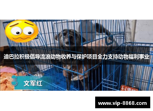 迪巴拉积极倡导流浪动物收养与保护项目全力支持动物福利事业
