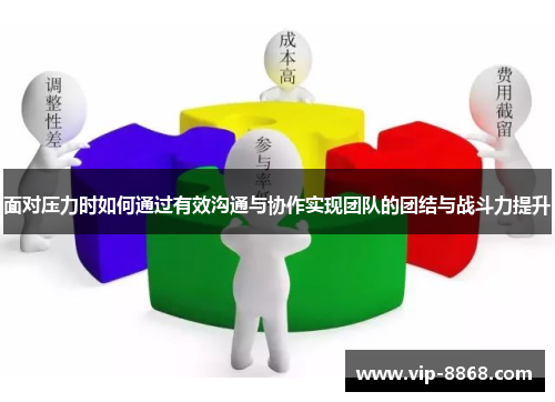 面对压力时如何通过有效沟通与协作实现团队的团结与战斗力提升