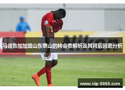 马德鲁加加盟山东泰山的转会费解析及其背后因素分析