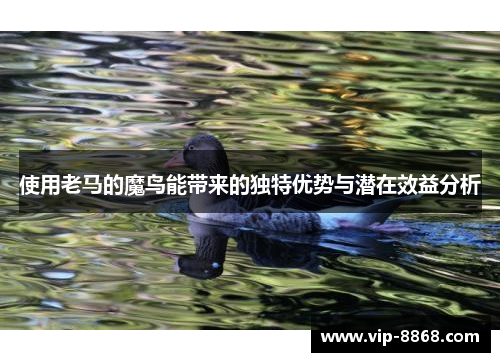 使用老马的魔鸟能带来的独特优势与潜在效益分析 使用老马的魔鸟能带来的独特优势与潜在效益分析