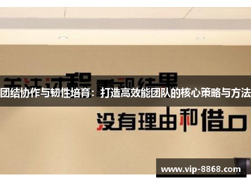 团结协作与韧性培育：打造高效能团队的核心策略与方法