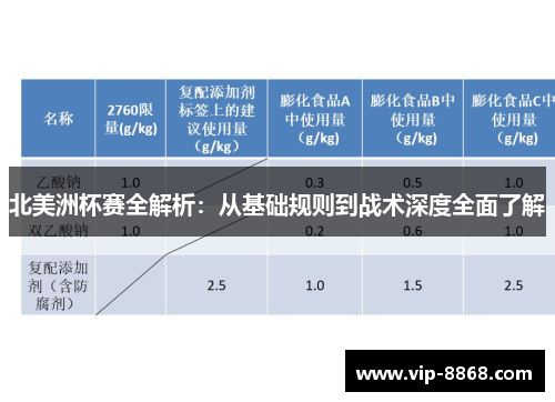 北美洲杯赛全解析:从基础规则到战术深度全面了解 北美洲杯赛全解析:从基础规则到战术深度全面了解